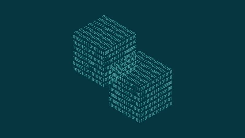 涡阳县信创改造：网络应用开发流程标准化的核心路径与实践